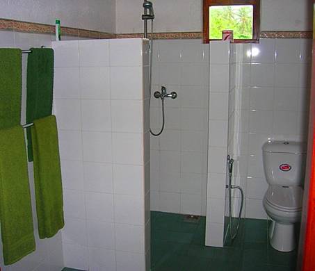 ayurvedaresort bathroom.jpg